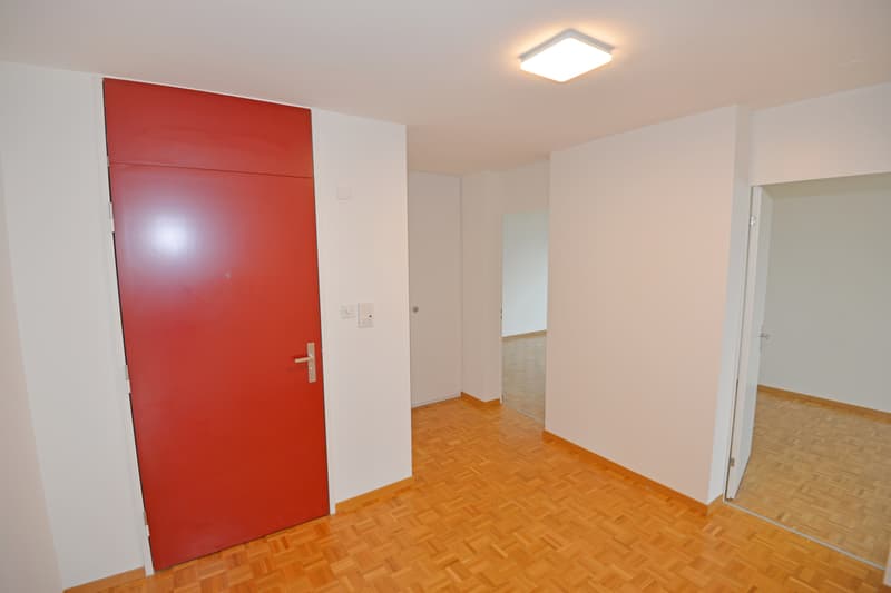Grosszügige Wohnung in kinderfreundlicher und grüner Wohnoase (9)