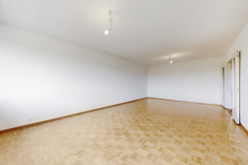 Appartement pour créer votre cocon familial au Petit-Lancy (5)