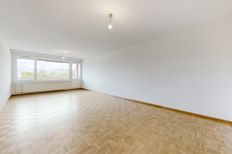Appartement pour créer votre cocon familial au Petit-Lancy (3)