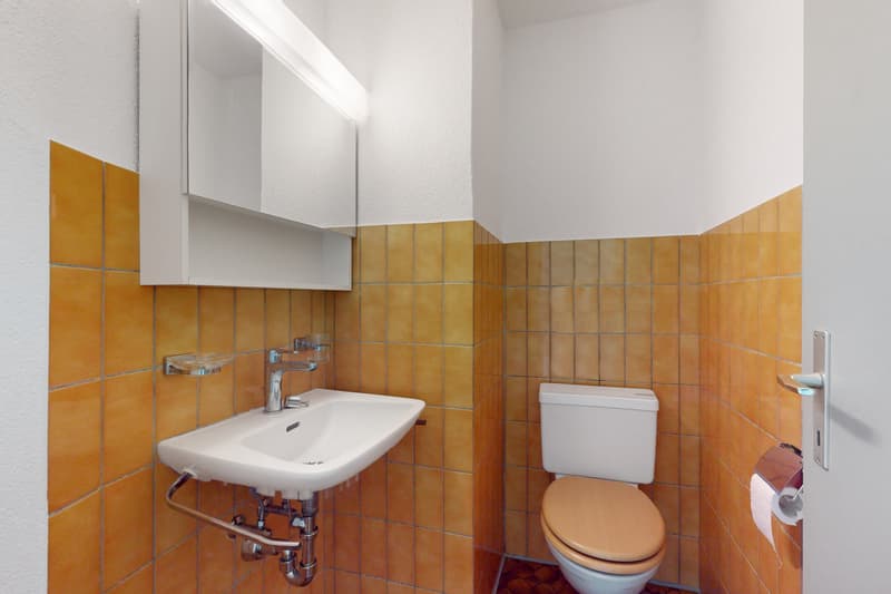 Ihr neues Zuhause in grüner Umgebung (8)