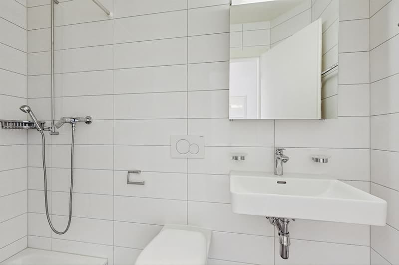 Votre logement à Epalinges ! (9)