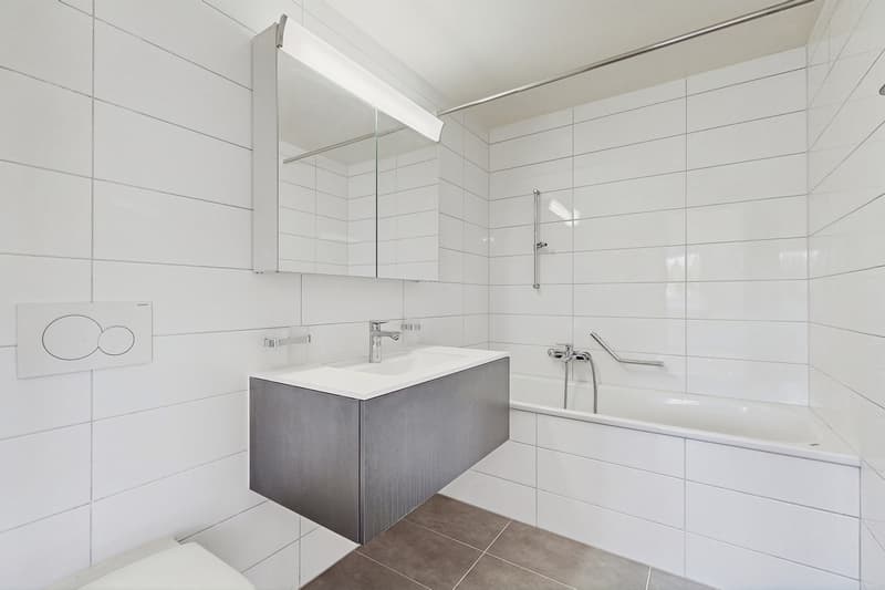Votre logement à Epalinges ! (10)