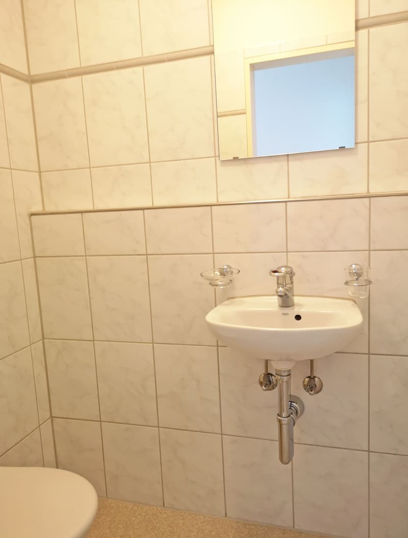 Zentral gelegene Familienwohnung (11)