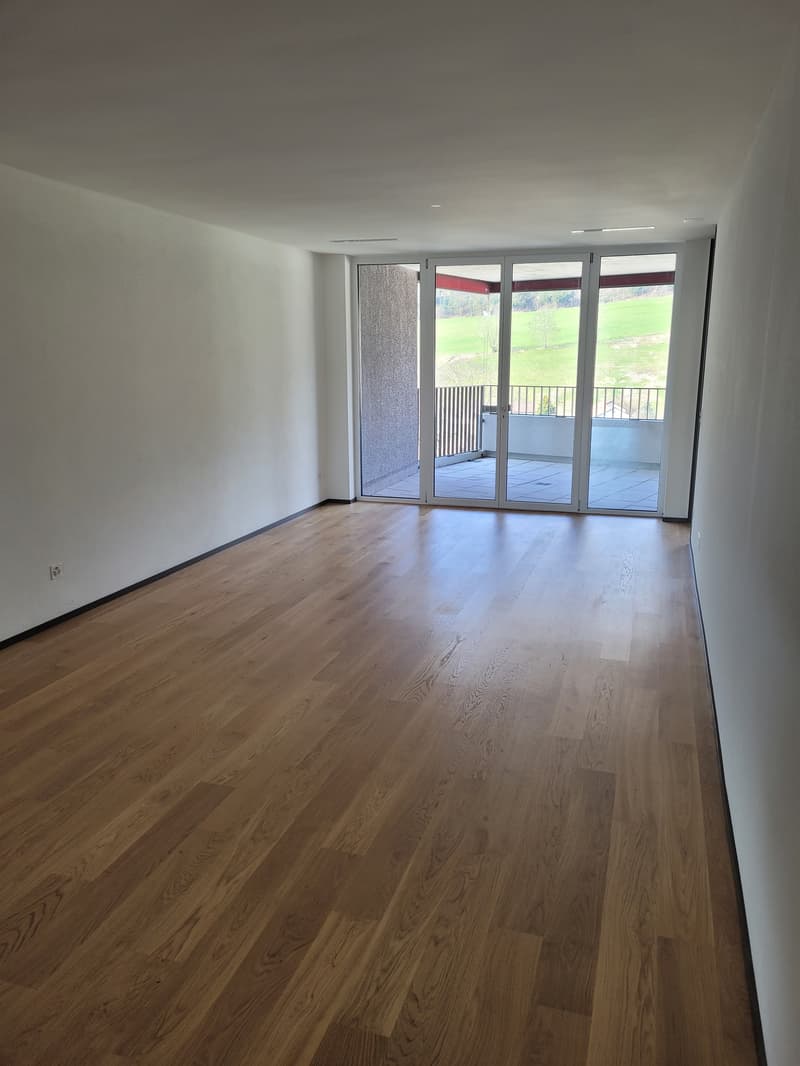 Top moderne Wohnung an der Sihl (3)