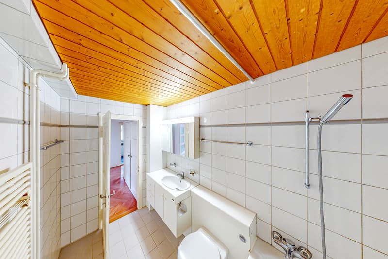 Schöne Wohnung in der Nähe des Zürichsees! (8)