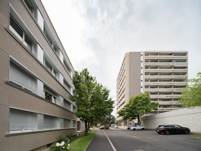 Splendide logement dans les haut de la ville! (2)