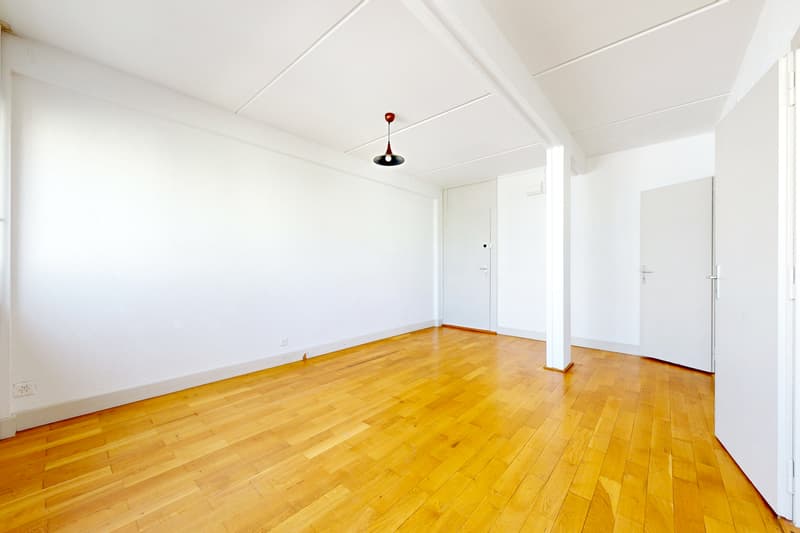Bel appartement de 2 pièces à Carouge ! (3)