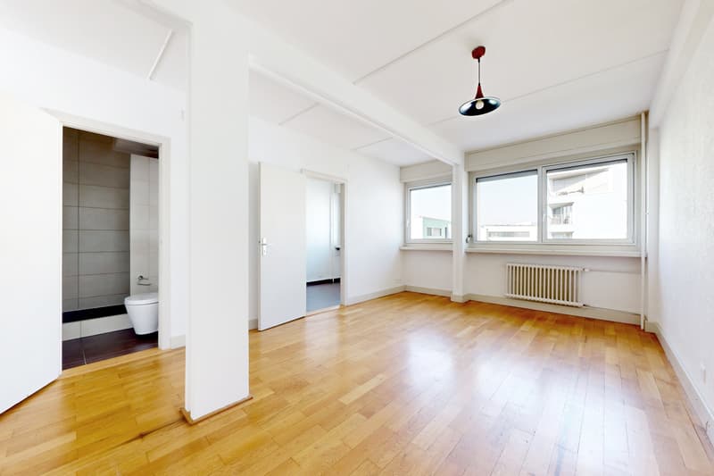 Bel appartement de 2 pièces à Carouge ! (2)