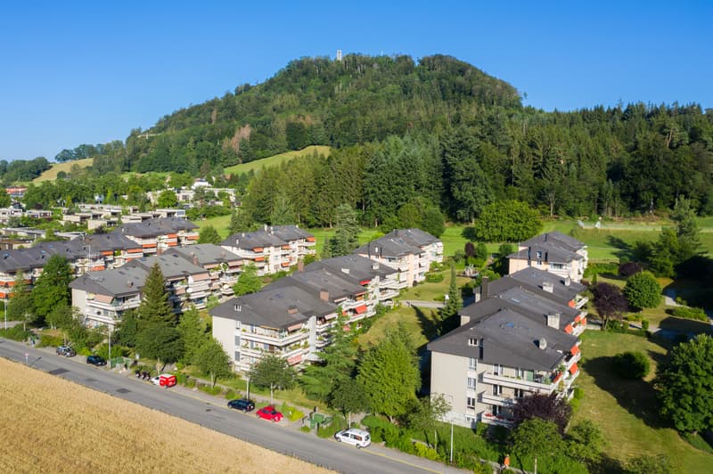 Spiegel bei Bern? Hier endet Ihre Wohnungssuche! (1)