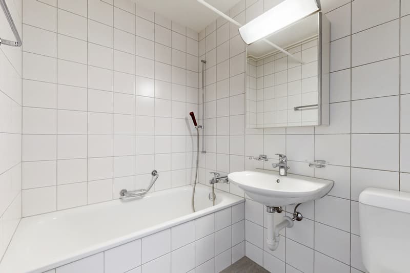 Helle Wohnung  in beliebter, ruhiger Lage mit grossem Balkon.... (10)