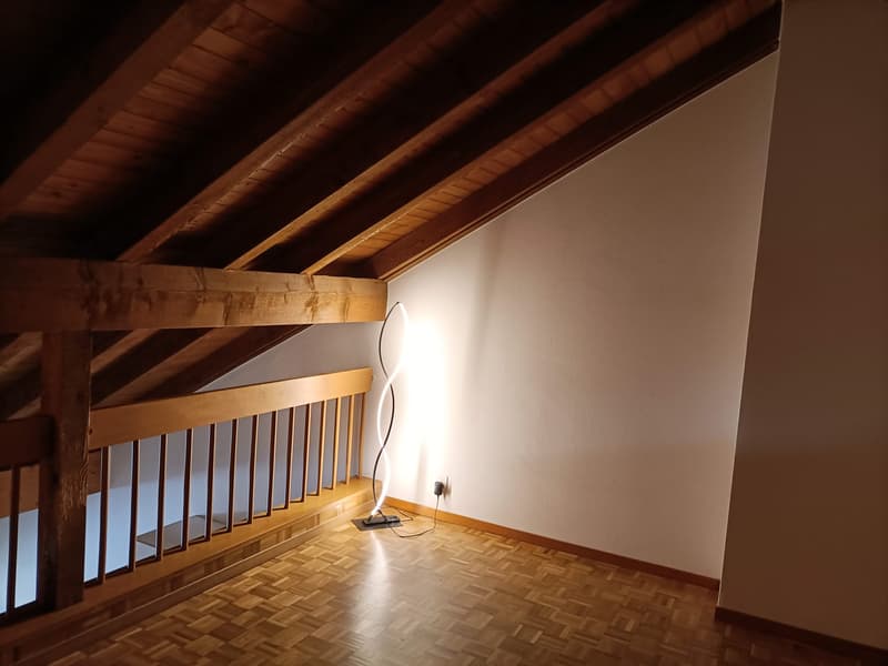 Charmant 3.5 pièces en vieille-ville de Fribourg! (4)