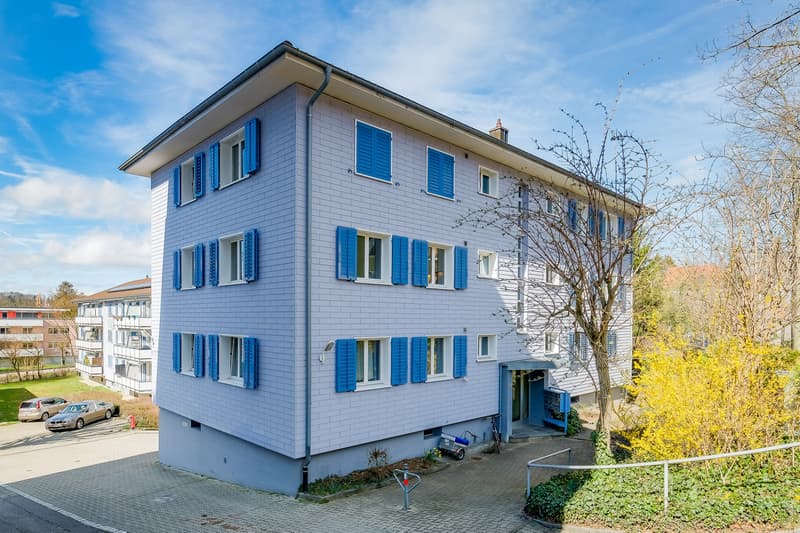 Gemütliche Wohnung in Arlesheim (1)
