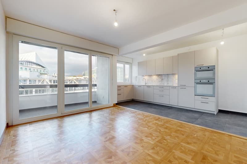 Vivre Genève - Appartement central et moderne (3)