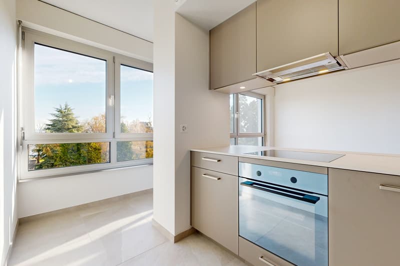 Appartement lumineux avec vue sur le Lac Léman ! (3)