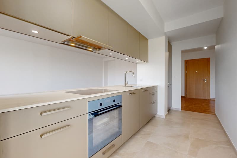 Appartement lumineux avec vue sur le Lac Léman ! (4)
