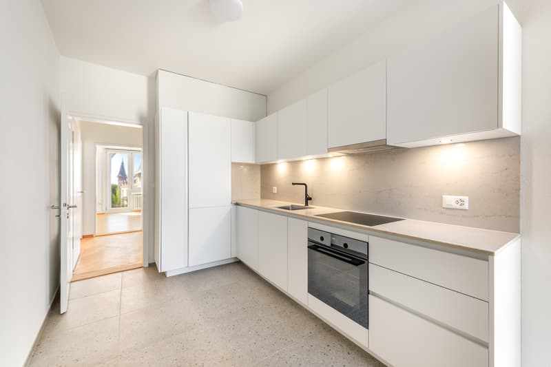 Stilvoll wohnen in Zürich-Enge frisch sanierte Wohnung sucht Sie! (2)