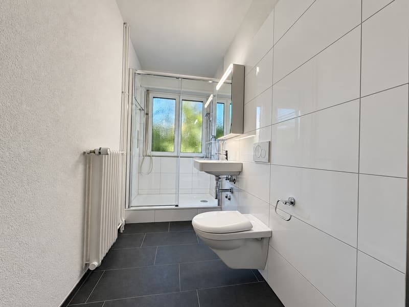 Ihr neues Zuhause im beliebten Zürich Hottingen (6)
