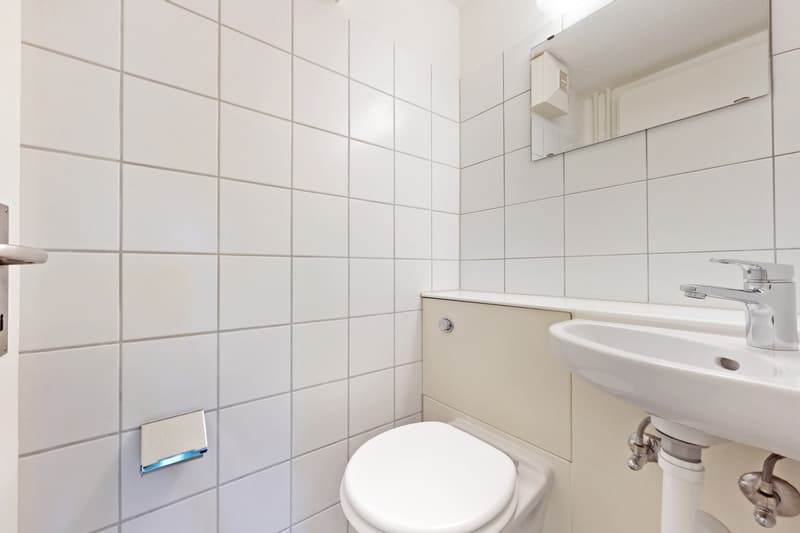 Schöne 3.5 Zimmerwohnung zu vermieten im Grünen (8)