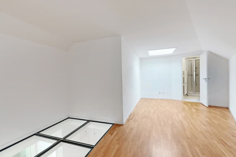 Profitez d'une vaste terrasse et d'un magnifique attique en duplex ! (9)