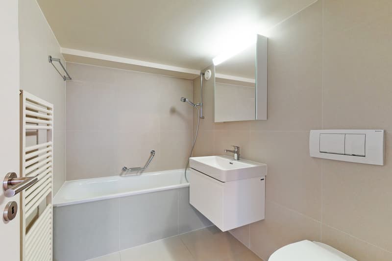 Profitez d'une vaste terrasse et d'un magnifique attique en duplex ! (12)