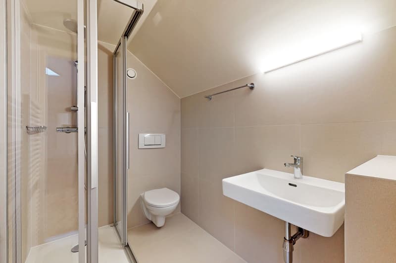 Profitez d'une vaste terrasse et d'un magnifique attique en duplex ! (11)