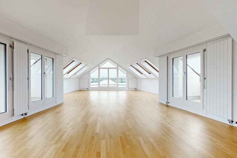 Profitez d'une vaste terrasse et d'un magnifique attique en duplex ! (3)