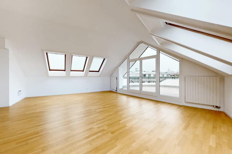 Profitez d'une vaste terrasse et d'un magnifique attique en duplex ! (4)