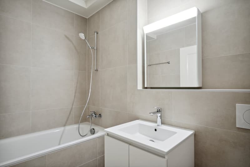 Un bel appartement proche du centre-ville ! (8)