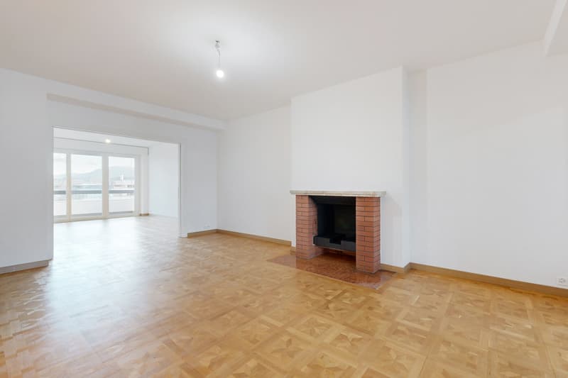 Vivre Genève - Appartement central et moderne (2)