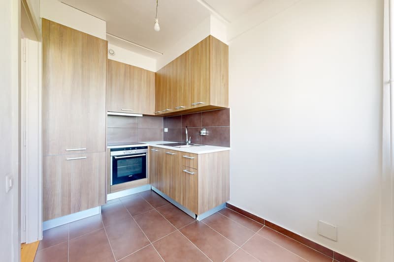 Bel appartement de 2 pièces à Carouge ! (4)