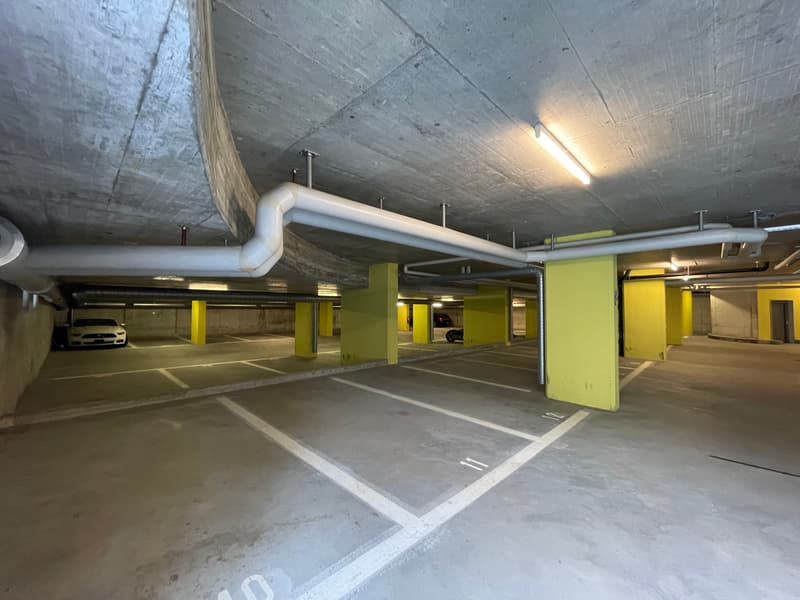 Repräsentativer Geschäftssitz mit exzellenter Anbindung in Sempach-Station (11)