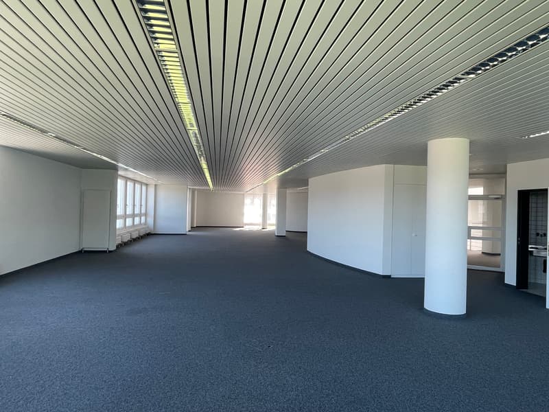 Grosse helle Gewerbe- / Büroflächen - Verkehrsgünstige Lage (6)