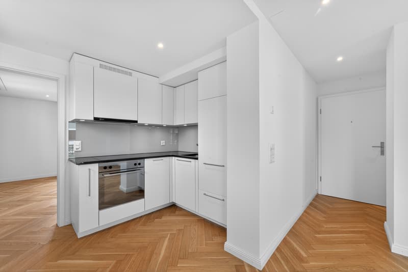 Gemütliche Wohnung im schönen Hergiswil (4)