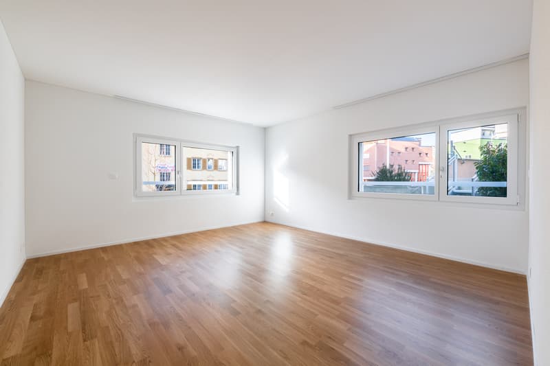 Kleinwohnung in der Nähe des Kantonsspitals (1)