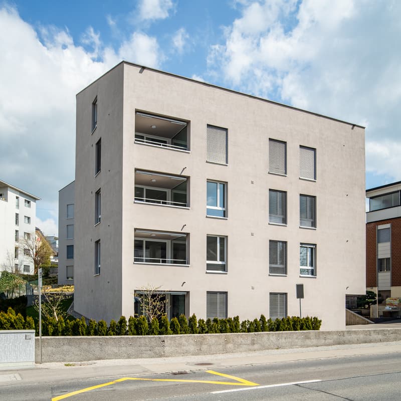 Schöne moderne 1.5 Zimmerwohnung (8)