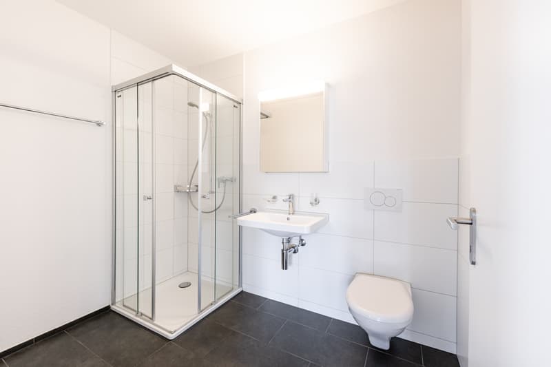 Schöne moderne 1.5 Zimmerwohnung (5)