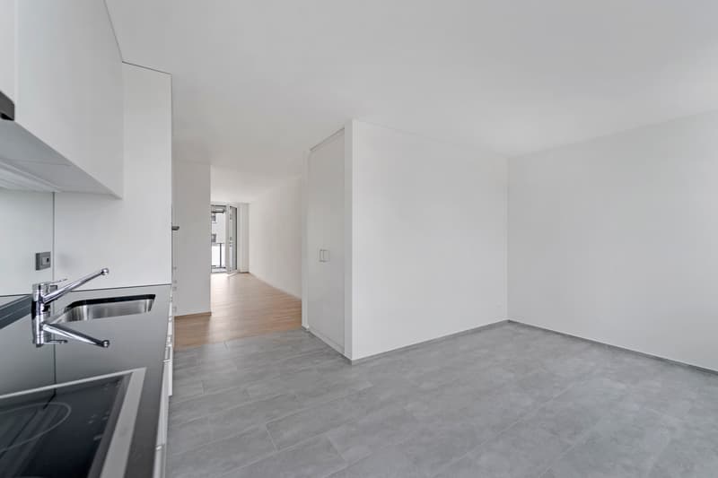 Grosszügige Wohnung mit moderner Ausstattung (4)