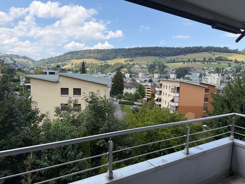 Modernes Wohnen in neuem Glanz (8)