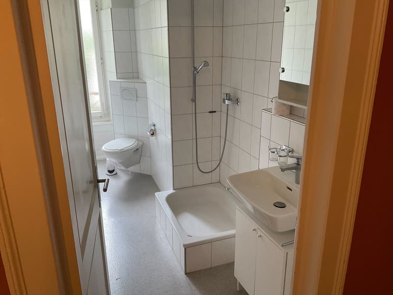 Gemütliche Wohnung im schönen Mossmatt-Quartier (4)