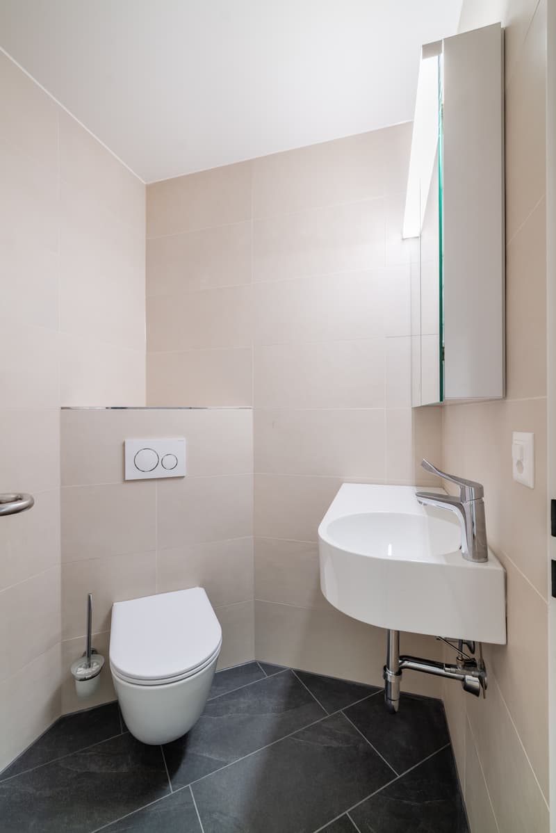 3,5 Zimmer umfassend saniert / Zentrumslage (9)