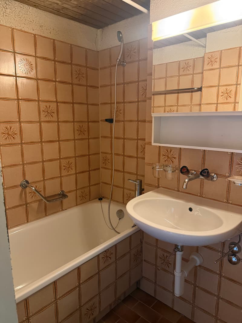 Wohnen im Bruchquartier befristet (4)