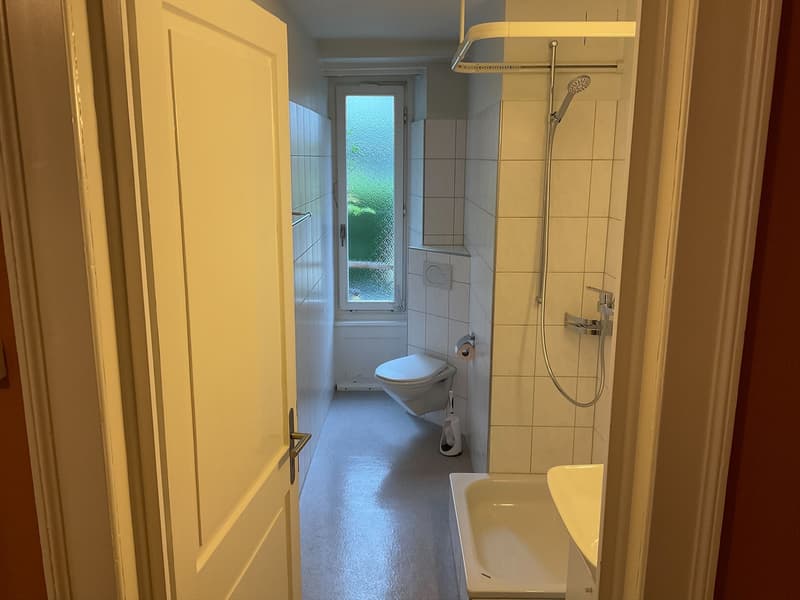 Gemütliche Wohnung im schönen Mossmatt-Quartier (5)