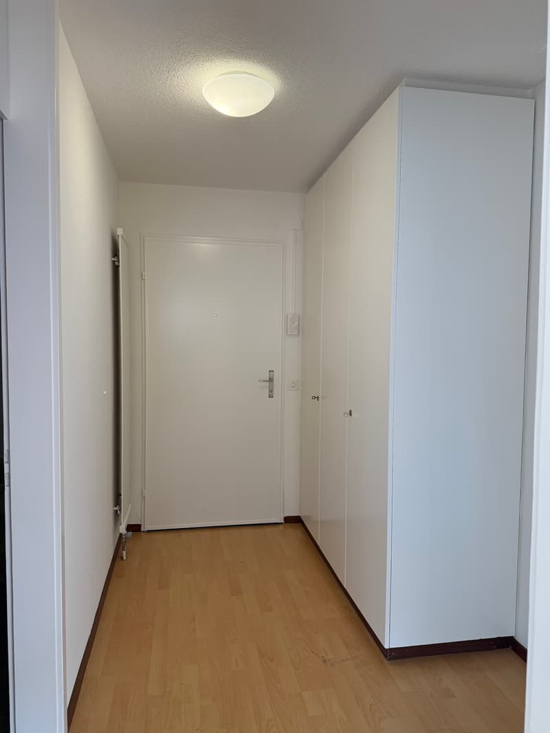 Maisonettewohnung Nähe Neubad (4)