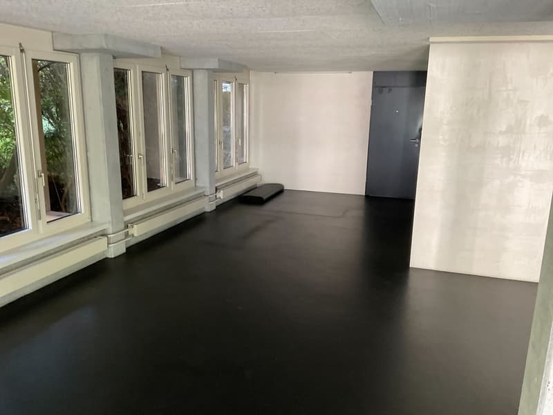 Attraktive Gewerbefläche an zentraler Lage in Luzern (9)
