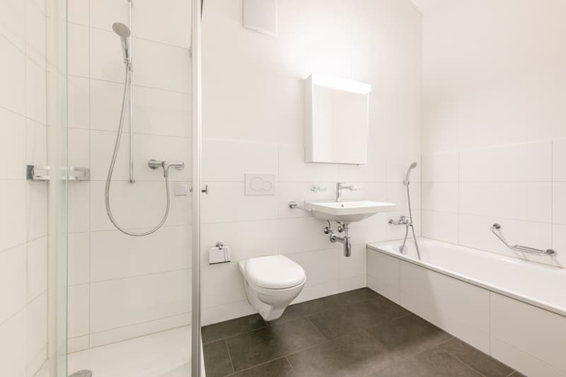 Exklusive Attika-Wohnung (7)