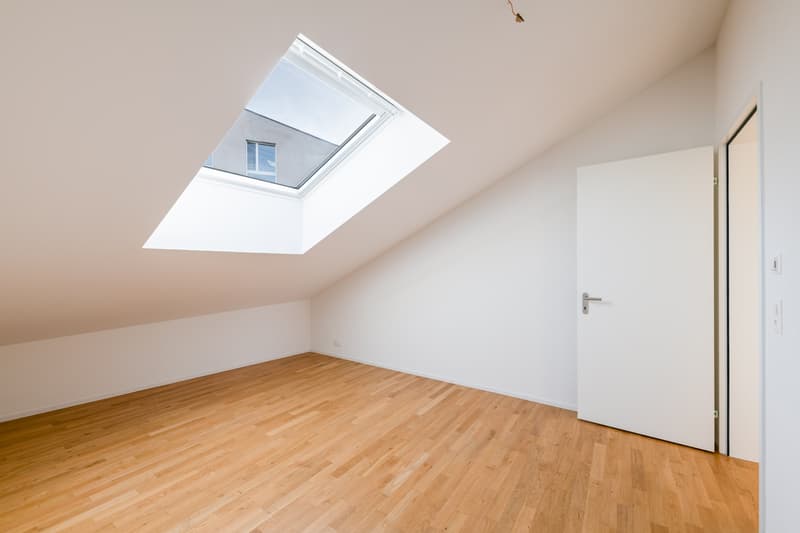 Exklusive Attika-Wohnung (6)