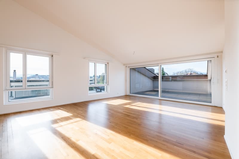 Exklusive Attika-Wohnung (2)