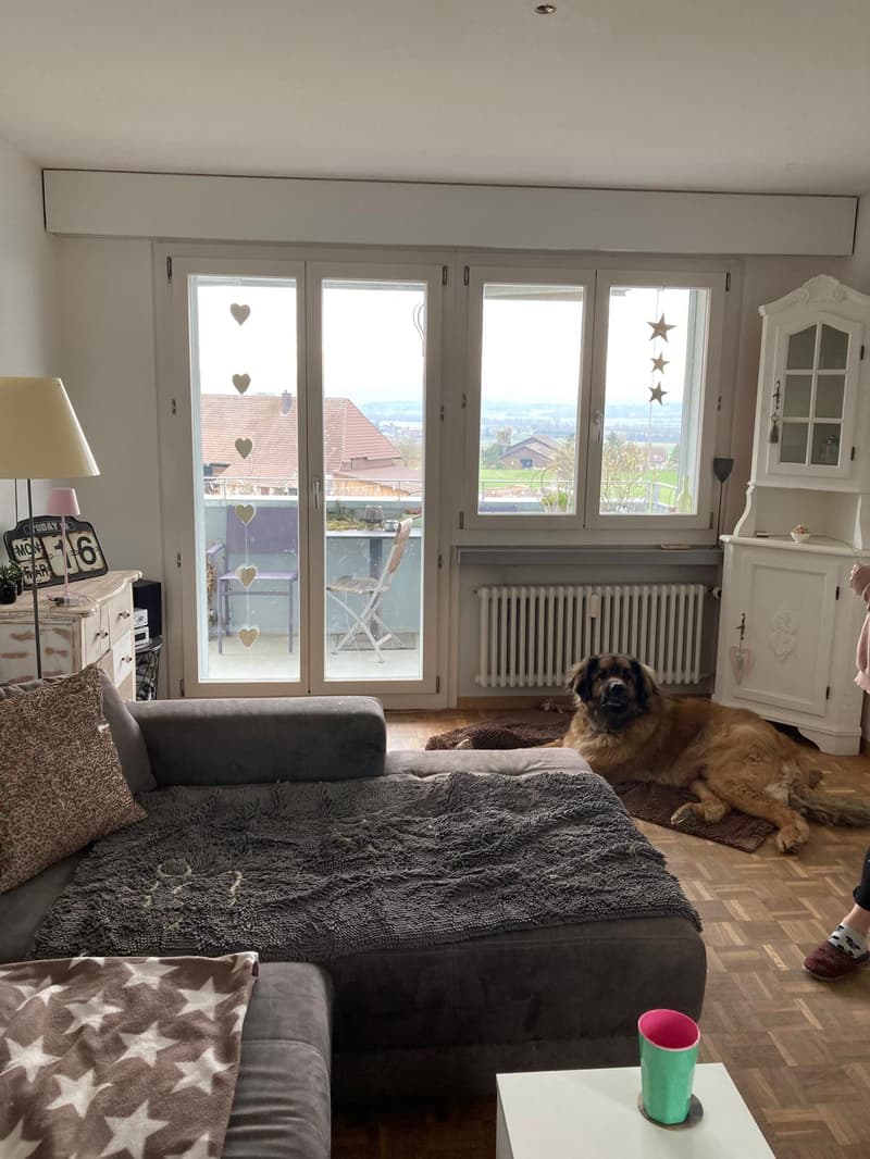 Charmante 4-Zimmerwohnung mit Balkon in ruhiger Lage von Gerolfingen (6)