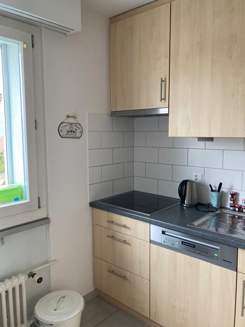 Charmante 4-Zimmerwohnung mit Balkon in ruhiger Lage von Gerolfingen (3)