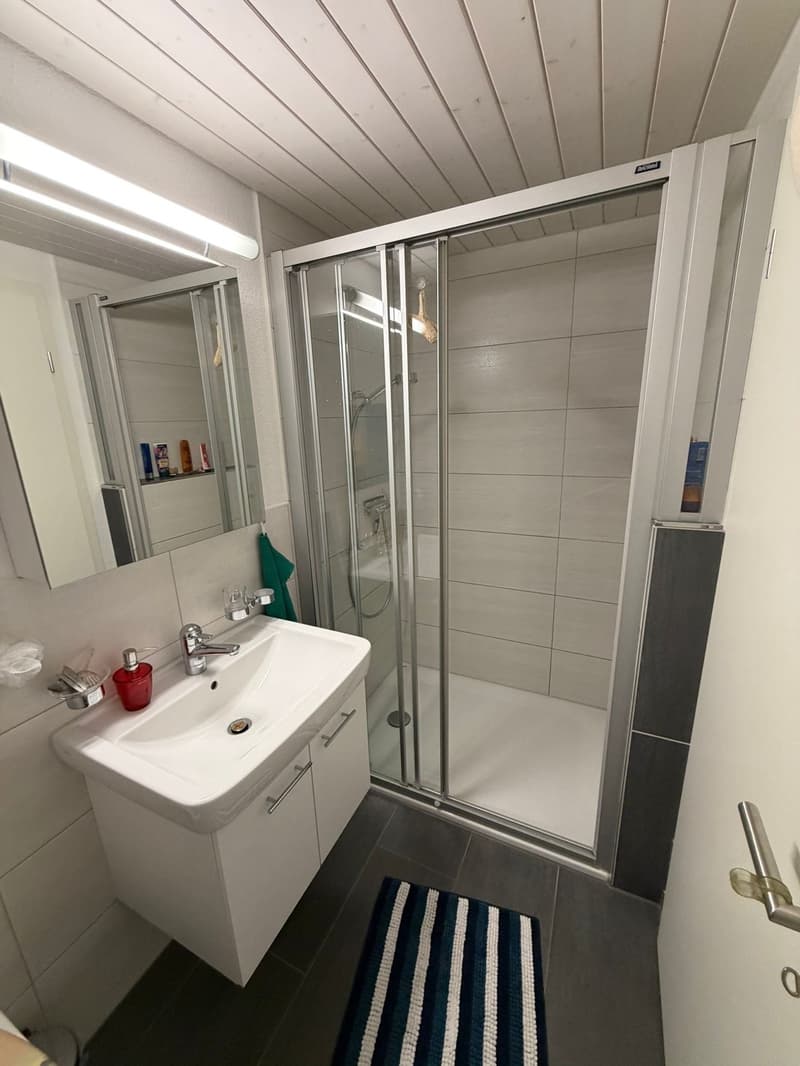 Charmante 4.5-Zimmer-Dachwohnung mit Balkon in Radelfingen (7)